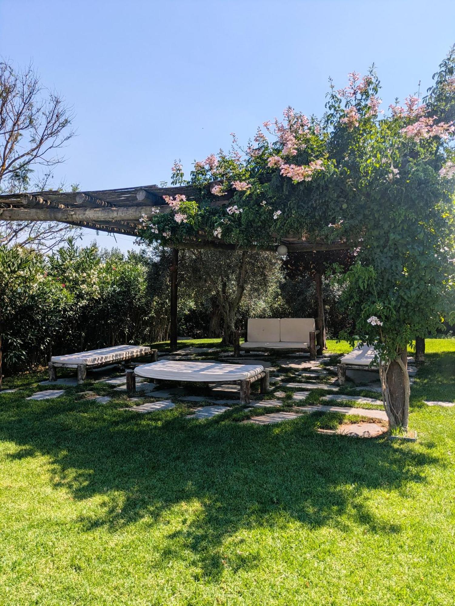 Casas De Juromenha Guest House Екстериор снимка